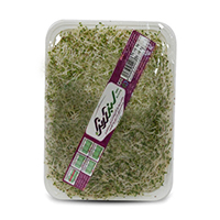 جوانه شبدر آرنگ