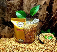 دستمال کاغذی پاپیا 3*100