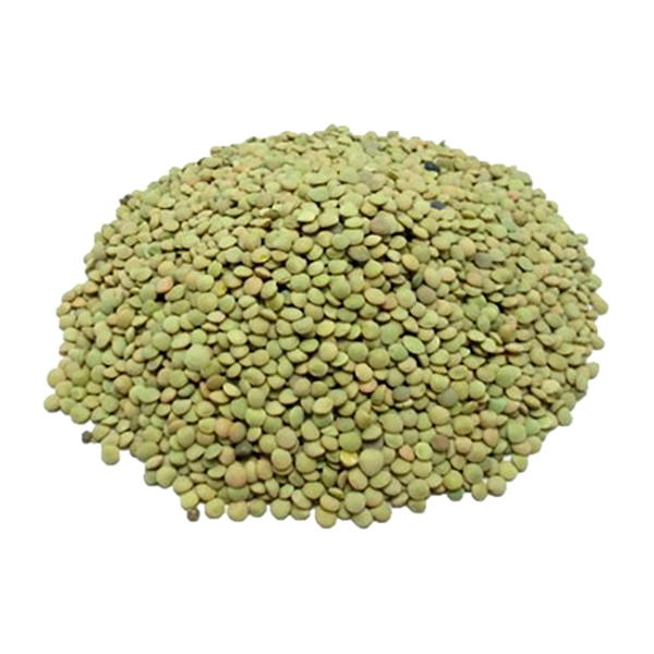 عدس سبز ریز