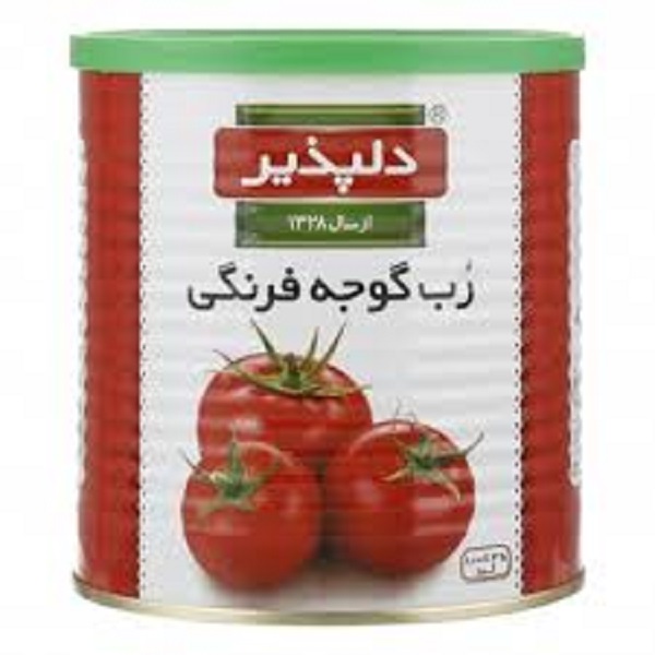 رب گوجه فرنگی قوطی 800گرم دلپذیر