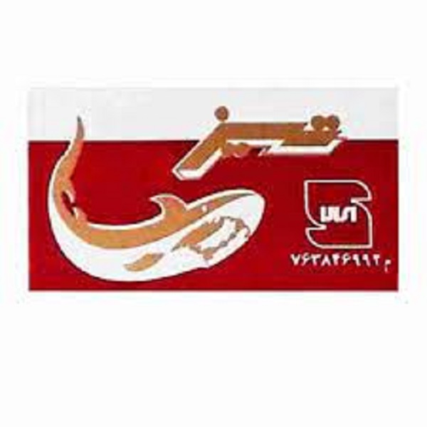 تیغ تیز 10 عددی طلائی لامیران