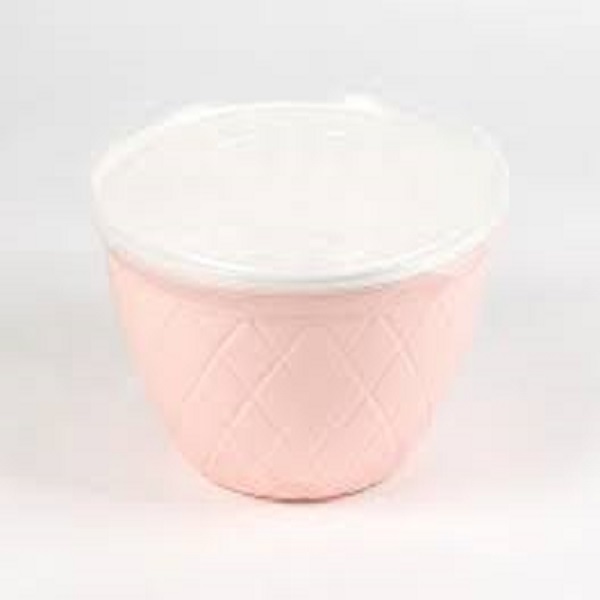 کاسه دربدار آناناسی کوچک نیک